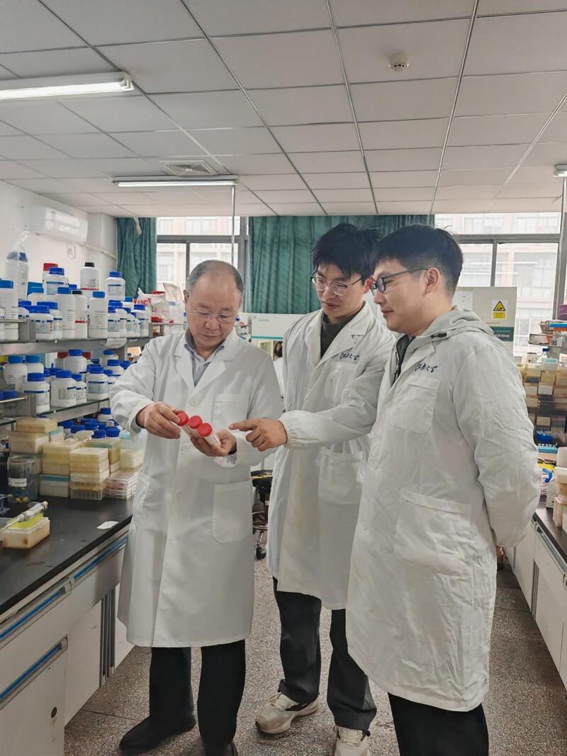 為了讓&ldquo;催化工匠&rdquo;酶&ldquo;排隊干高效活&rdquo;,江南大學搭建了一個&ldquo;分子積木工廠&rdquo;